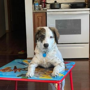 Meet your Posher, Nathan